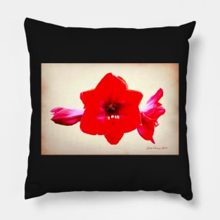 Red Amaryllis After Georgia O'Keeffe Pillow