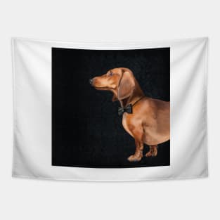 Mr Dachshund Tapestry