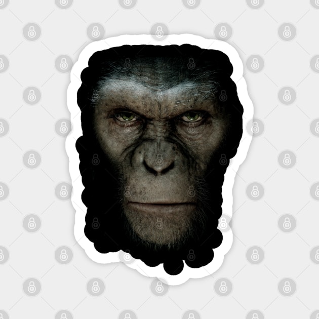 Caesar Ape Magnet by enchantingants