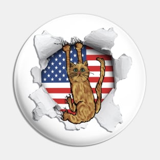 Funny Cat American Flag Cat Lover Gifts Pin