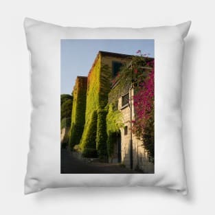 Colorful leaves on house walls Pillow