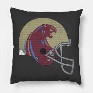 Michigan Panthers Vintage Pillow