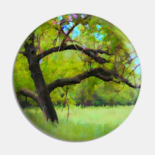 Old tree illustration Pin