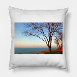 Sunset with the tree in setting sunlight. Pillow