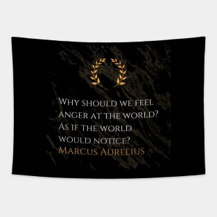 Marcus Aurelius's Reflection: Futility of Anger Towards the World Tapestry