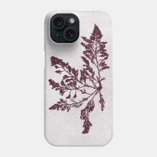 Osmundea pinnatifida Phone Case