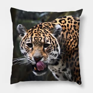 Jaguar Tarnung / Swiss Artwork Photography Pillow