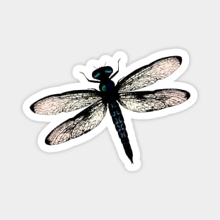 Blue dragonfly vector Magnet