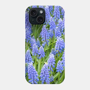 Grape Hyacinth (Muscari Armeniacum) Phone Case