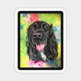 Black cocker spaniel , colourful watercolour background Magnet