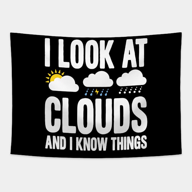 I Look At Clouds And I Know Things Tapestry by AngelBeez29