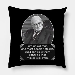 Mr. Potter Pillow