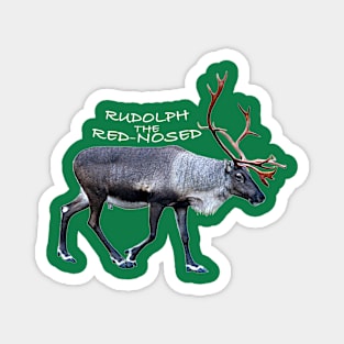 Rudolph the red-nosed Magnet