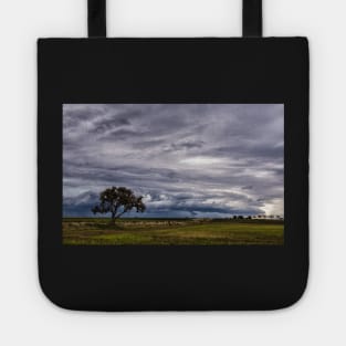 A Lone Tree Against the Storm Tote