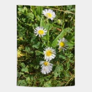 Tiny Wild Daisies Tapestry