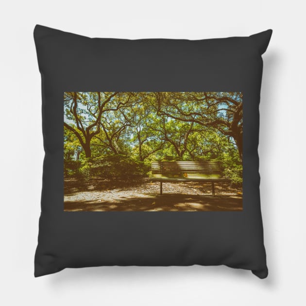 Pulaski Square Bench Savannah Pillow by Gestalt Imagery