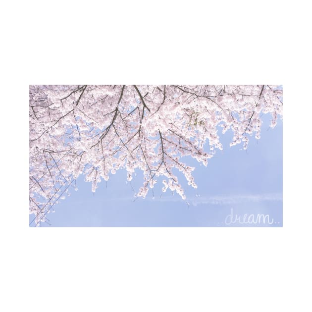 Dreamy Cherry Blossom by moonlitdoodl