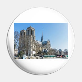 Paris Notre Dame Cathedral view Pin