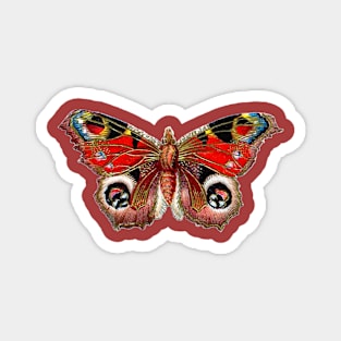 Multicolored Butterfly Magnet