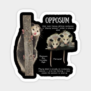 Animal Facts - Opposum Magnet