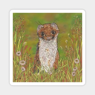 Summer Stoat Magnet