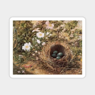 Bird's Nest and Dog Roses by John William Hill Magnet