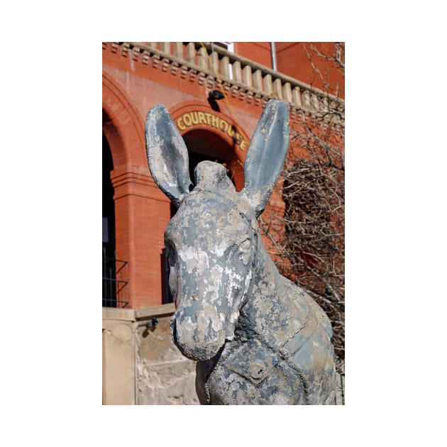 Central City Courthouse Donkey by bobmeyers