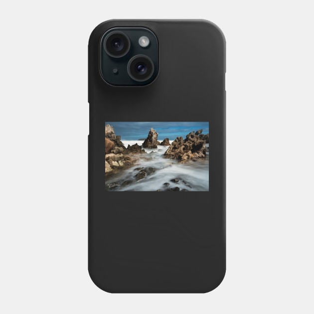 Petrel Cove Phone Case by lordveritas