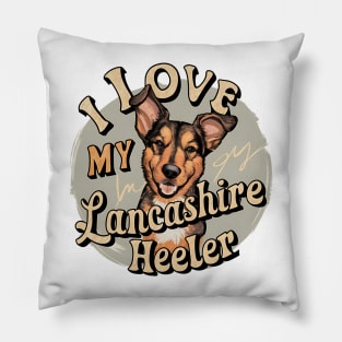 I love my Lancashire Heeler Pillow