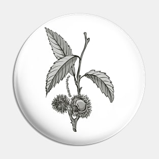 Plants Pin