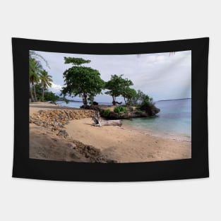 Apparel, home, tech and travel design Tapestry