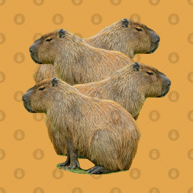 Capybara Stack by dalyndigaital2@gmail.com