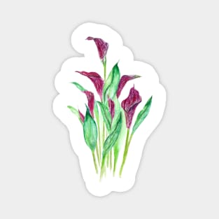 purple calla lily watercolor Magnet