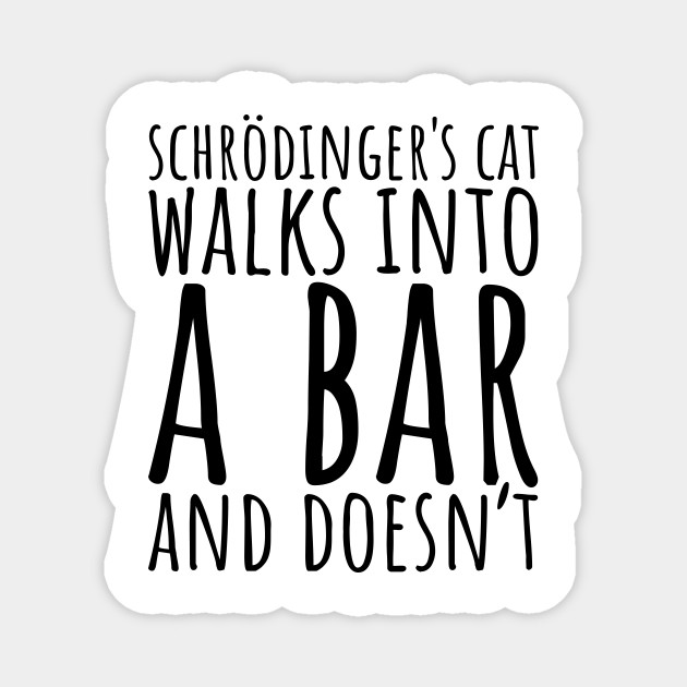 Schrodinger S Cat Walks Into A Bar And Doesn T Physics Joke