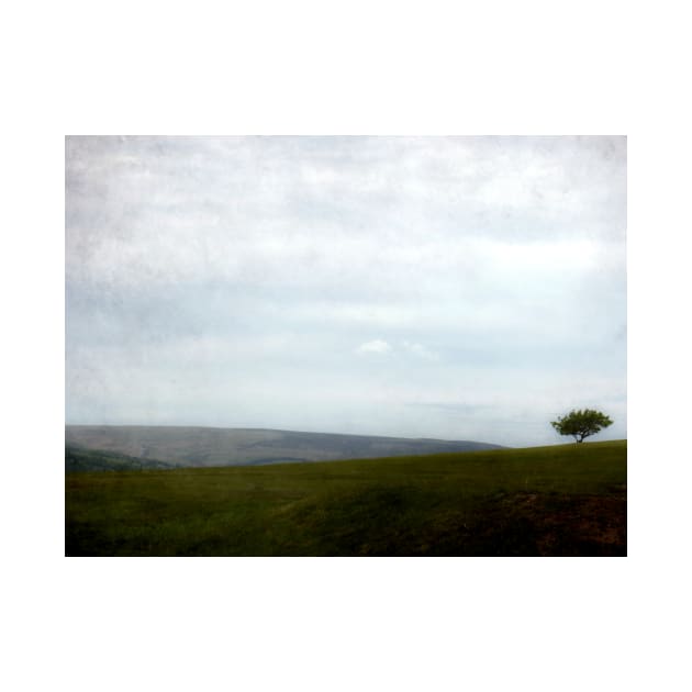 Moorland ( Manchester) by rosedew