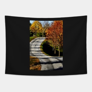 The long & winding road... Tapestry