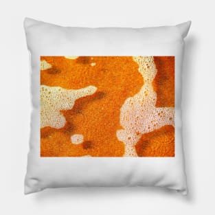 beach foam Pillow