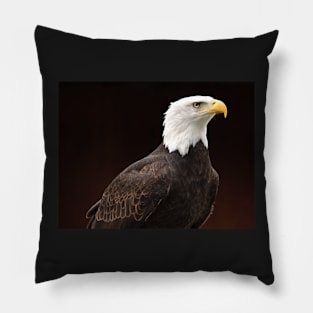 Bald Eagle Pillow