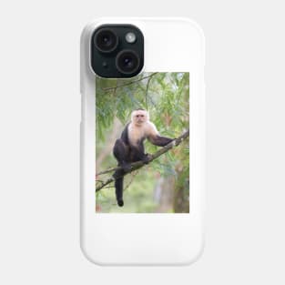 Capuchin monkey - Costa Rica Phone Case