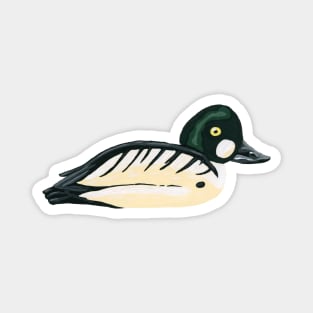 Common Goldeneye Duck Magnet