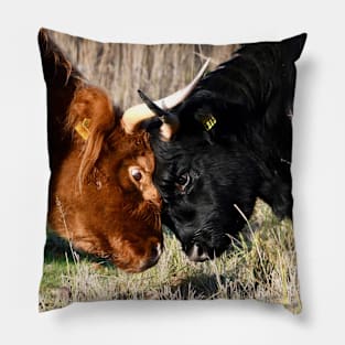 Hochland cattle fight / Swiss Artwork Photography Pillow