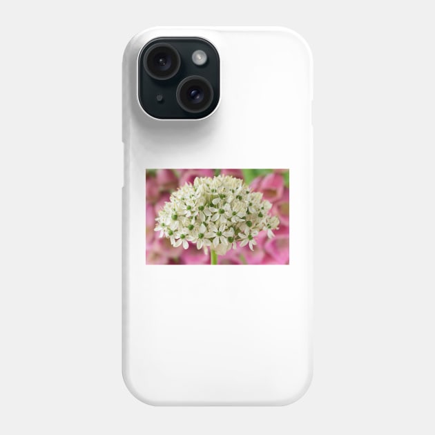 Allium nigrum  Black garlic  Allium multibulbosum Phone Case by chrisburrows