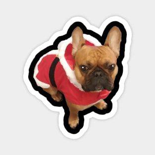 Santa Bulldog Dog Magnet