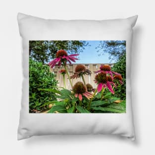 Coneflowers Reaching High by Debra Martz Pillow