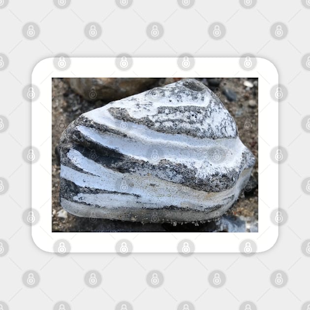 Close-up of beautiful layered triangular stone rock in white and grey stripes Magnet by Khala