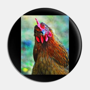 little red rooster Pin