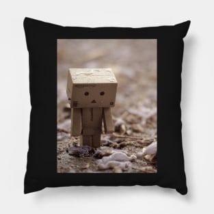 Lost in the Rain Pillow