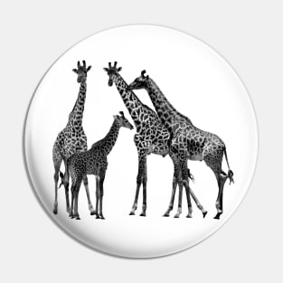 Giraffe - Family on Safari in Kenya / Africa Pin