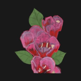 "Pink Blooms" Jamie's Hand-Drawn Floral Collection T-Shirt