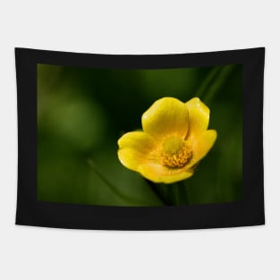 Buttercup Tapestry